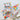 A Pocket Full of Happiness Spiderweb Background Die