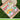 LF Stitched Wavy Backdrop Portrait Die