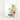 Creative Cuts Houseplants Layering Die - new monthly kit containing all the dies you need to create house plants in pots or hanging pots with our without flowers