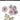 Morning Flowers Die