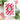 WF Holiday Stripes Die