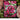 MFT Roses All Around Background Stamp