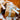 GT Tear Strip Tags:  Baby Stamp