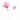 Daniel Donaldson Blossom 8 Stamp