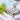 Bloom and Grow Sentiments By The Greetery flower themed sentiments for cardmaking and stamping