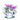 WC Foliage Set 5 Stamp Set