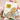 Waffle Flower Daisy Background Stencil for card making and paper crafts