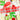 Waffle Flower Crafts Overlapping Merry Die-n-Stencil