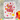 WF Nesting Rounded Rectangles Die