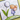 SY Wishing Stamp