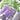 The Greetery BotaniCuts Wisteria Die for cardmaking and papercrafts for bridgerton fans layered die cut example