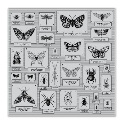 Bug Collection Background Cling Stamp