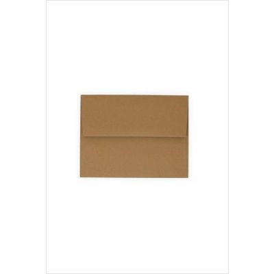Kraft Envelopes (12 pack)