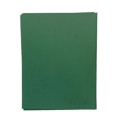 Evergreen Cardstock (12 sheets)