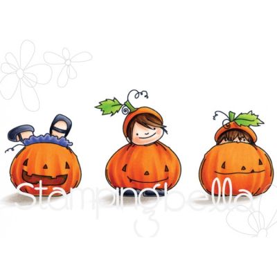 Squidgy Pumpkin Trio