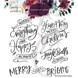 Savvy Sentiments - Merry Everything Stamp