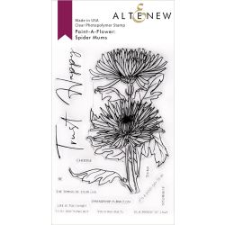 Paint-A-Flower:  Spider Mums Outline Stamp