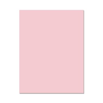 Hero Hues Cardstock - Peony (10 sheets)