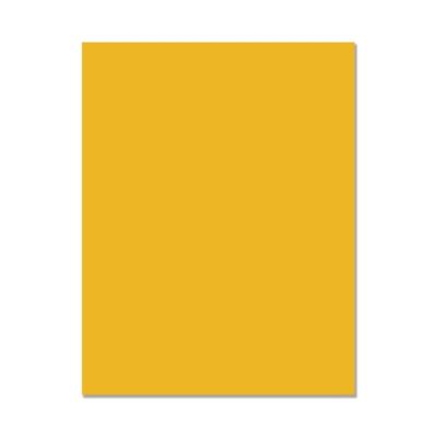 Hero Hues Cardstock - Mustard (10 sheets)