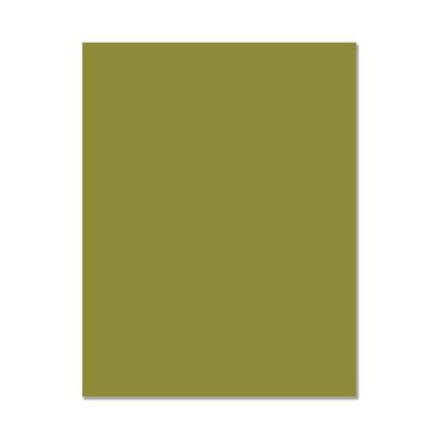 Hero Hues Cardstock - Pesto (10 sheets)