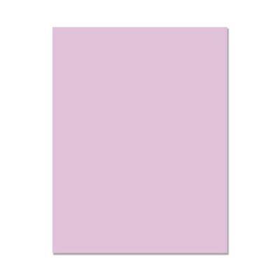 Hero Hues Cardstock - Lavender (10 sheets)