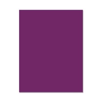 Hero Hues Cardstock - Plum (10 sheets)