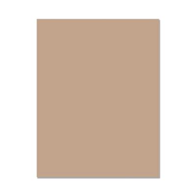 Hero Hues Cardstock - Sand (10 sheets)