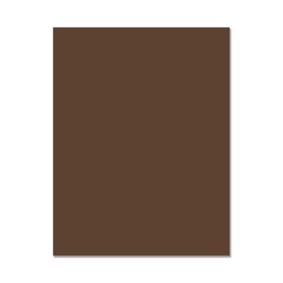 Hero Hues Cardstock - Chestnut (10 sheets)