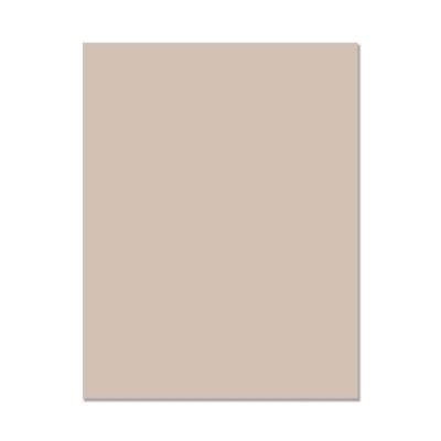 Hero Hues Cardstock - Pebble (10 sheets)