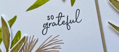 Season Of Gratitude