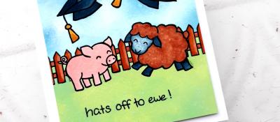 Hats off to ewe!